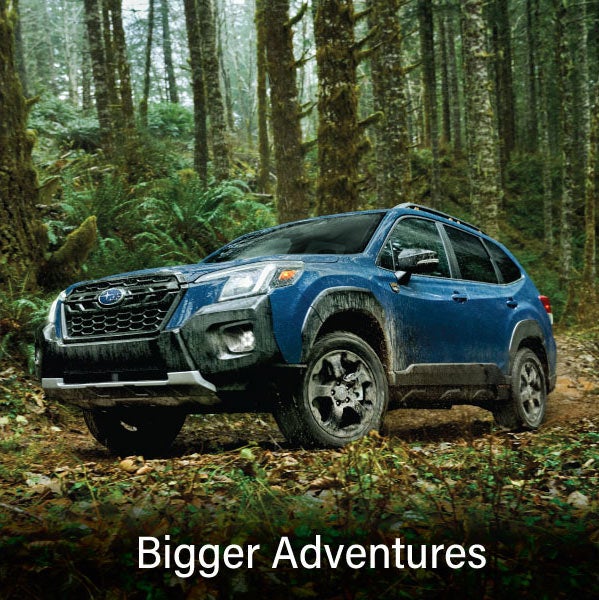 A blue Subaru outback wilderness with the words “Bigger Adventures“. | Sutherlin Subaru in Kingston TN